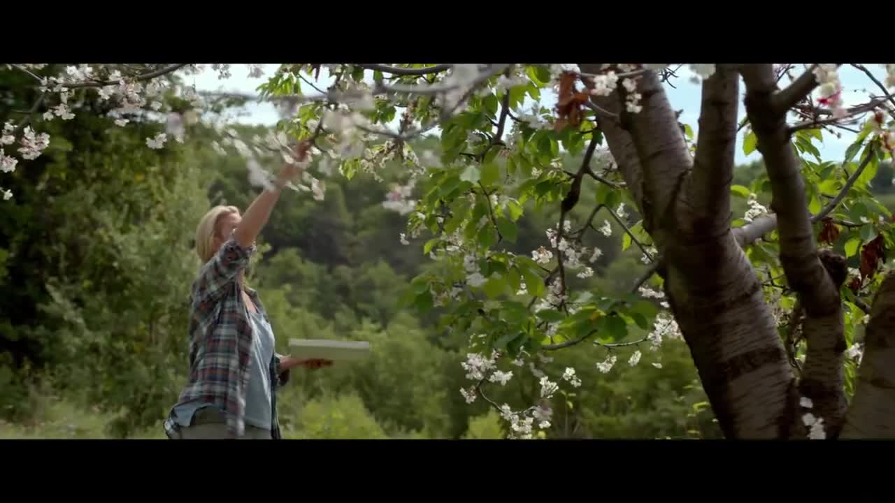 Extrait vidéo du film  Le Goût des merveilles