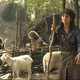 photo du film Robin des Bois, la véritable histoire