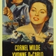 photo du film Tornade
