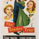photo du film Le tendre piège