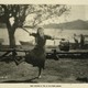photo du film Tess of the Storm Country