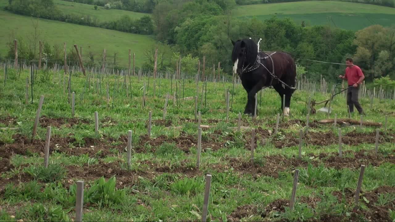 Extrait vidéo du film  Prendre soin de la Terre