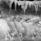 photo du film The Broadway Melody