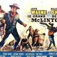 photo du film Le grand McLintock