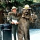 photo du film Meet the Deedles