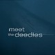 photo du film Meet the Deedles