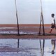 photo du film La Vie sur l'eau