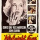 photo du film Piège à minuit