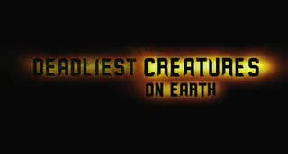 Un extrait du film  Des serpents dans l avion