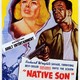 photo du film Un enfant du pays/Sang noir