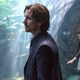 photo du film Knight of Cups