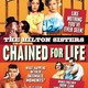 photo du film Chained for Life