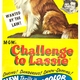 photo du film Le Défi de Lassie