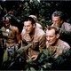 photo du film Les Racines du ciel