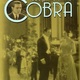 photo du film Cobra