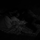 photo du film Araya
