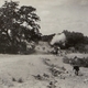 photo du film The Rough Riders