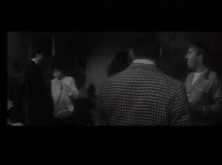 Extrait vidéo du film  La Métamorphose des cloportes