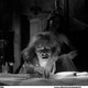 photo du film Spider Baby, or The Maddest Story Ever Told