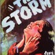 photo du film The Storm