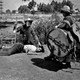 photo du film Los Olvidados