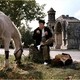 photo du film Heureux qui comme Ulysse