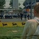photo du film Le Temps des amants