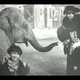 photo du film Bout de Zan vole un éléphant