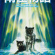 photo du film Antarctica