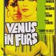 photo du film La Vénus en fourrure
