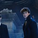 photo du film Les Animaux fantastiques : les Crimes de Grindelwald