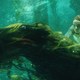 photo du film Les Animaux fantastiques : les Crimes de Grindelwald