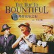 photo du film Mémoires Du Texas