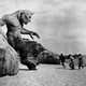 photo du film Le 7eme Voyage De Sindbad