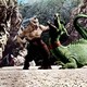 photo du film Le 7eme Voyage De Sindbad