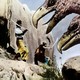 photo du film Le 7eme Voyage De Sindbad