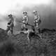 photo du film Le Triomphe De Tarzan