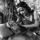 photo du film Le Triomphe De Tarzan