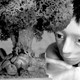 photo du film Karaena