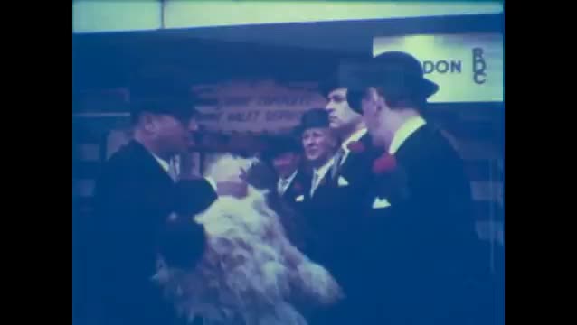 Extrait vidéo du film  Arthur, Arthur