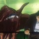 photo du film WXIII : Patlabor the Movie 3