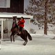 photo du film Track of the Cat