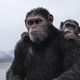 photo du film La Planète des singes - Suprématie
