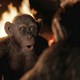 photo du film La Planète des singes - Suprématie