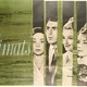 photo du film Climats