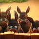 photo du film Astérix : Le secret de la potion magique