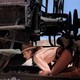 photo du film L'étoile du sud