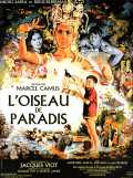 L Oiseau De Paradis