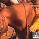 photo du film Belles de l'ouest