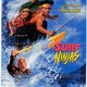 photo du film Surf Ninjas